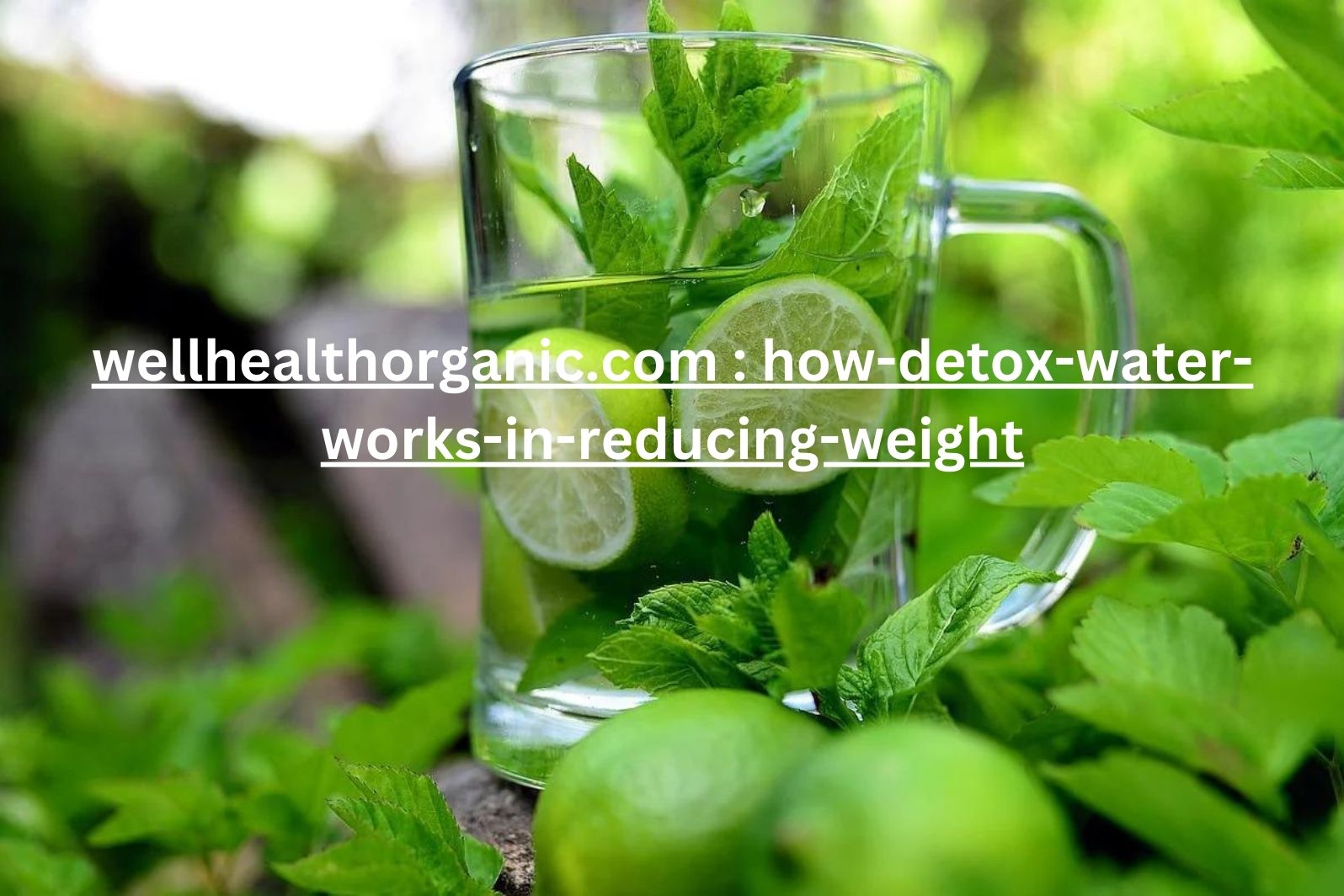 wellhealthorganic.com : how-detox-water-works-in-reducing-weight