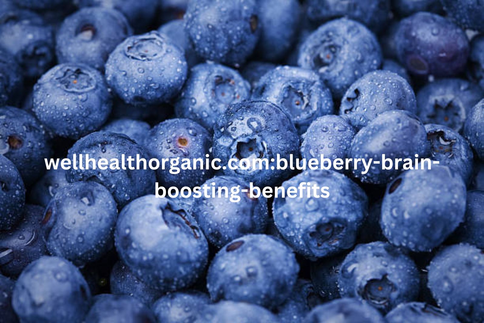 wellhealthorganic.com:blueberry-brain-boosting-benefits